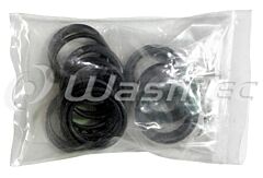 SEAL KIT 31778 FOR CAT PUMP MODEL 1540