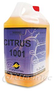 CITRUS 1001 - 20 LTR INTERIOR CLEANING (