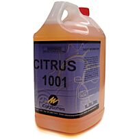 CITRUS 1001 - 5 LTR INTERIOR CLEANING (B